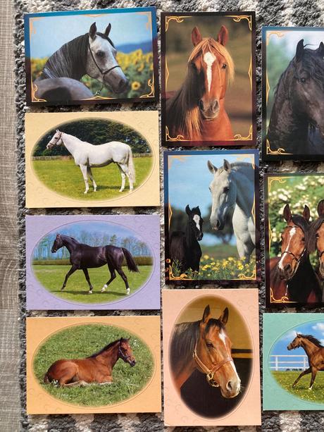 Pohľadnice koní nepopísané 10ks,