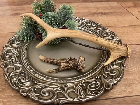 Parôžky - parožie, 