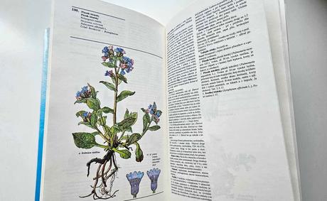 Kniha 'naše liečivé rastliny',