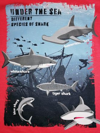 Tričko žraloky, 128