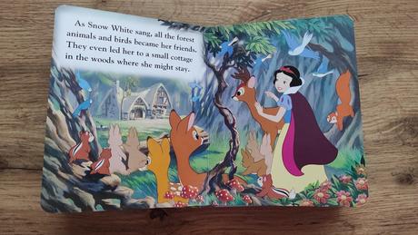 Snehulienka top stav,