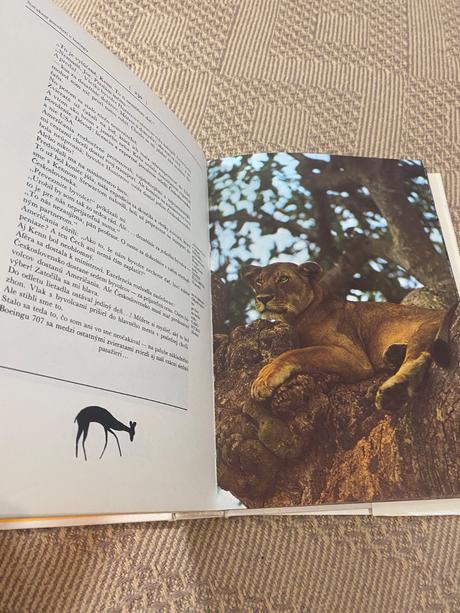 Krásna kniha o afrike safari pod kilimandžárom,