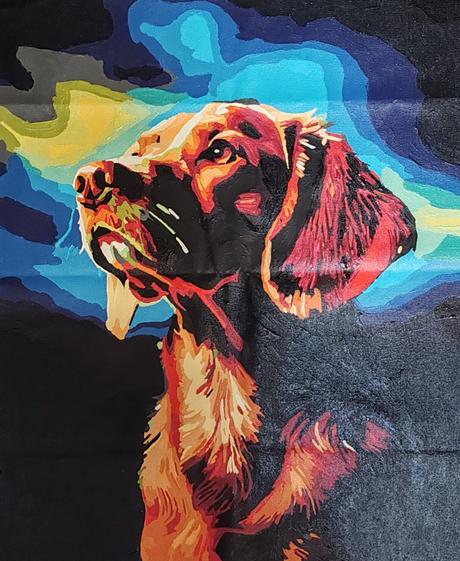 Obrazy 50x40cm, 