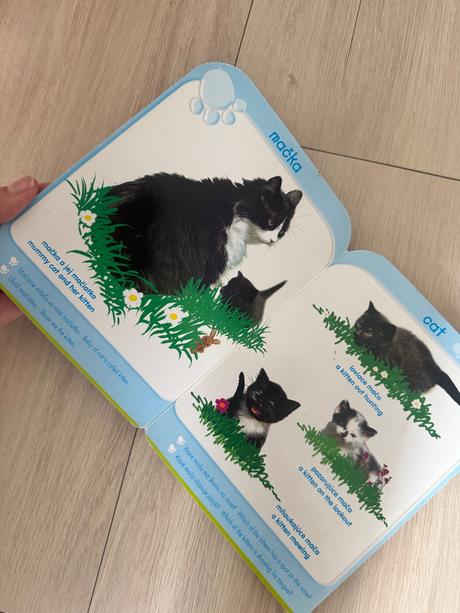 Anglicko slovenska knizka, 