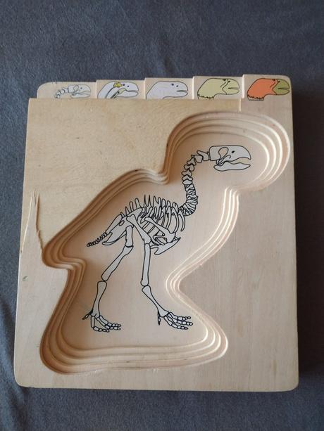 Viacvrstvové drevené anatomické puzzle dinosaurus, 