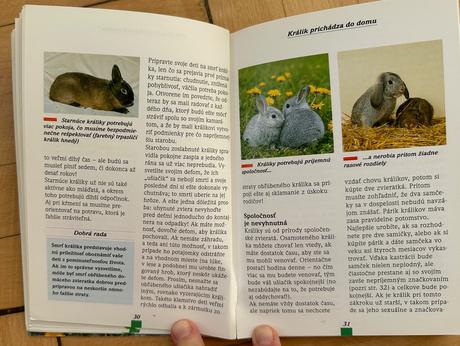 Trpasličie králiky výber chov výživ mettle michael,