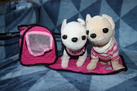 2x chichi psík a taška,