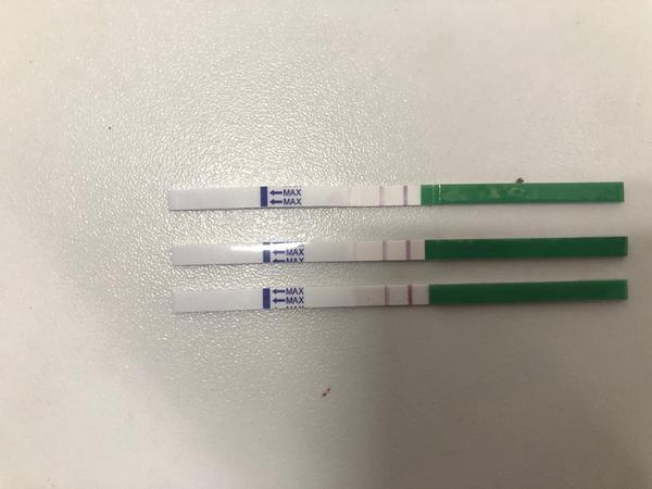 Je podľa vás tento ovu test pozitívny?