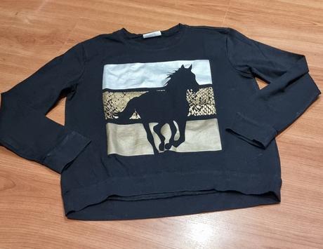 Coccodrillo tričko, coccodrillo,140