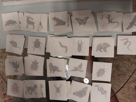 Kaufland zvieratká, 