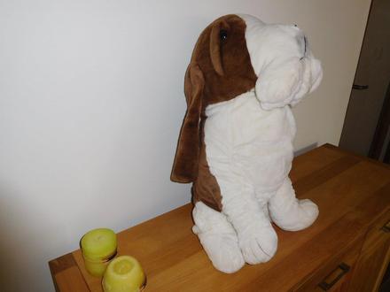 Psík plyšový-1m,výška, 