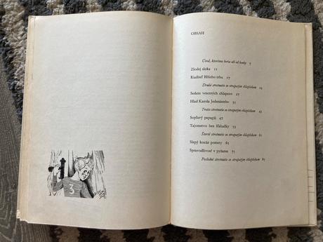 Chlapček husia koža a ryšavé mesto-prvé vyd.1967,