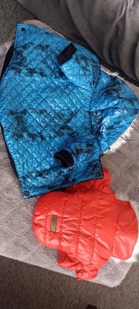 Bundy pre maleho psa, 