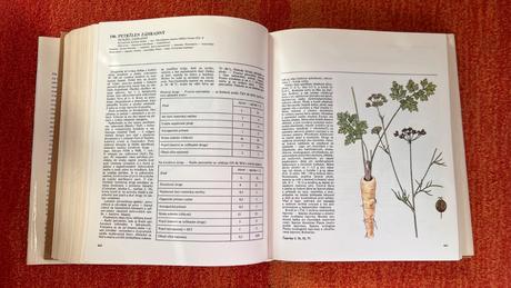 Atlas liečivých rastlín a lesných plodov - r. 1977, 