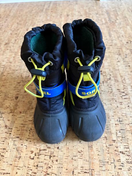 Snehule soreli, sorel,27