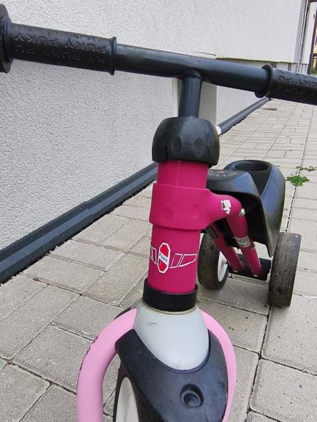 Odrazadlo puky ruzove, 
