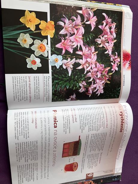 Rok v našej záhrade, 