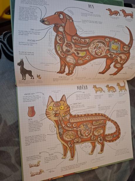 Zvieratá kniha ako darček, 