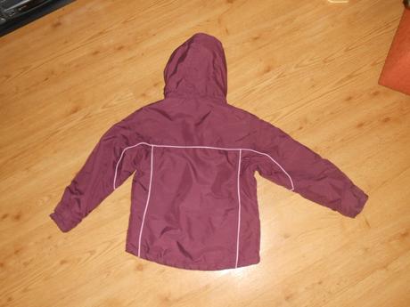 Bundička, palomino,122