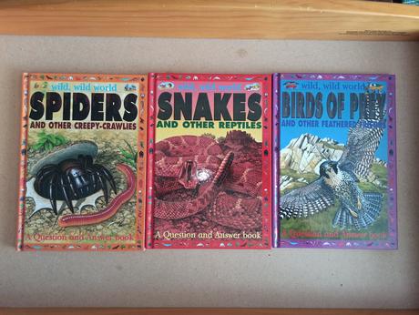 Wild wild world - spiders / snakes,