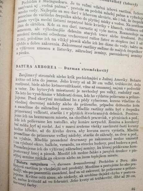 Okrasné rastliny v byte a na pracovisku, 