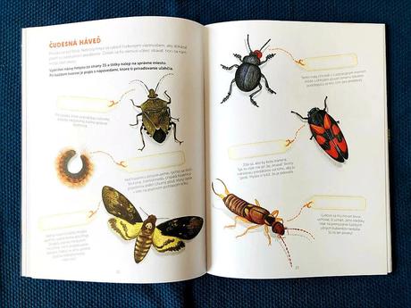 Montessori zosit pozorovania a aktivit,