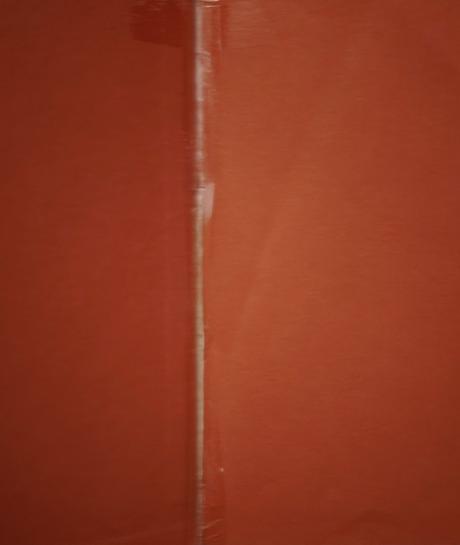 Mickeyho vianočna koleda, 