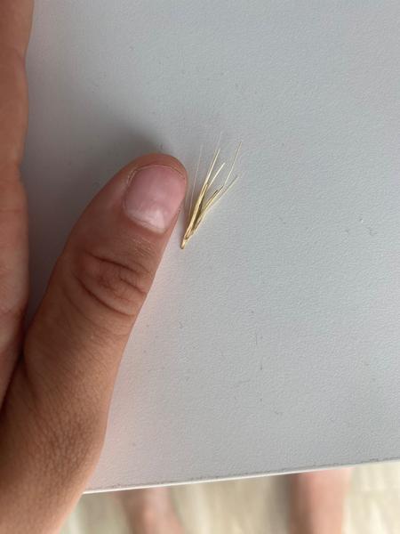 Dieťa prehltol rastlinku