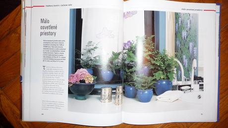 Nádhera kvetín/ dvesto izbových rastlín, 