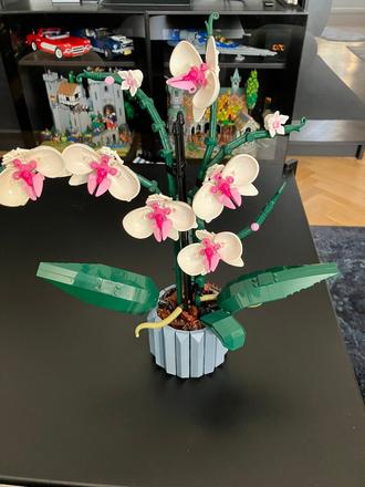 Lego 10311 orchidea, 