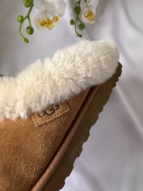 Ugg - papuče ugg cluggette, ugg,41