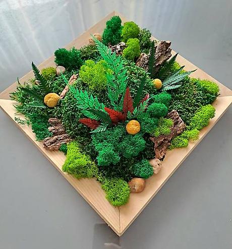 Machová dekorácia 30x30cm, 