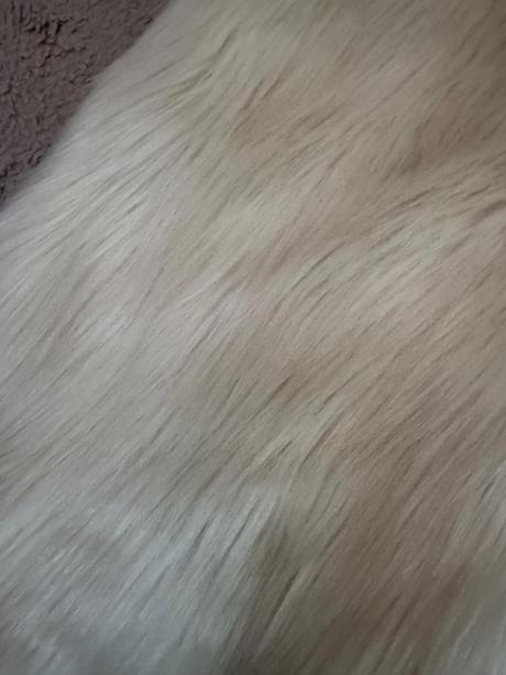 Kozusinova vedta, f&f