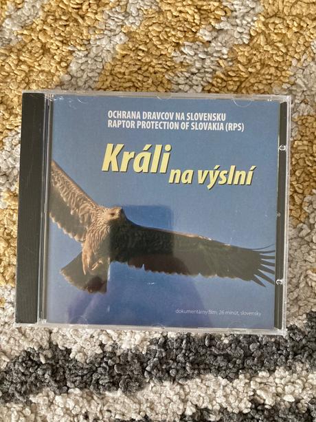 Dvd králi na výslní (2006), 