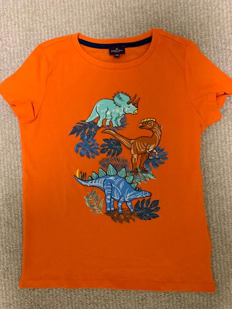 Tričko s dinosaurami, sergent major,146