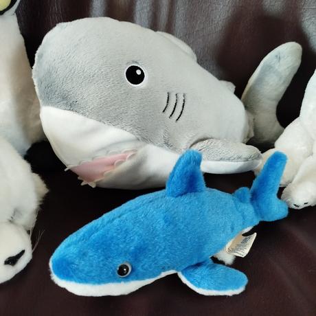 Zvieratá zo severného aj južného pólu,