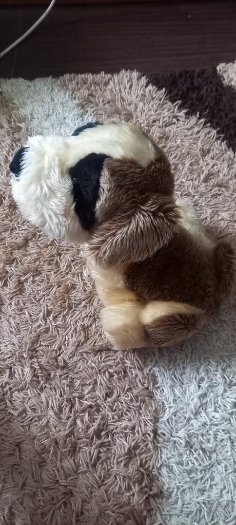 Psík bernardin 30 cm, 