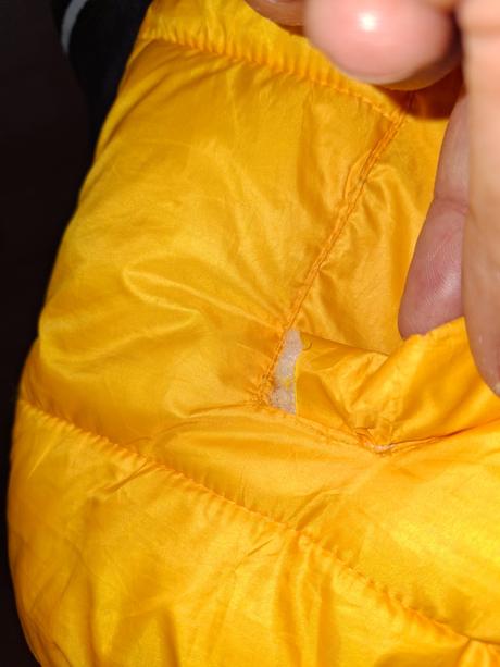 Chlapčenská vesta, champion,158