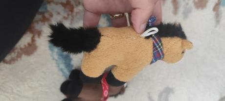 Plyšoví koníci,