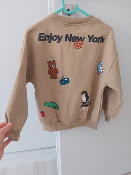 Bledohnedá mikina zara, zara,116