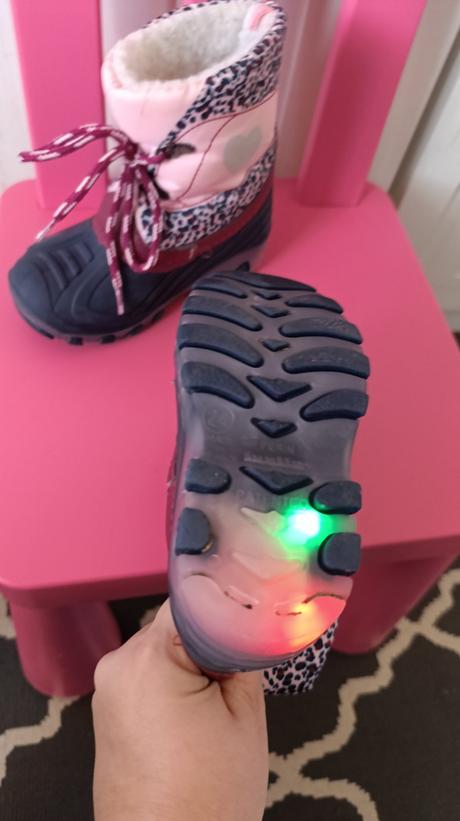 Snehule blikajúce lupilu, lupilu,24