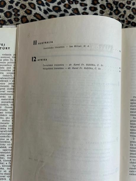 Dejiny svetovej literatúry 2 - kolektiv autorů, 