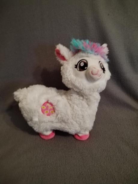 Spievajúca a tancujúca lama, 