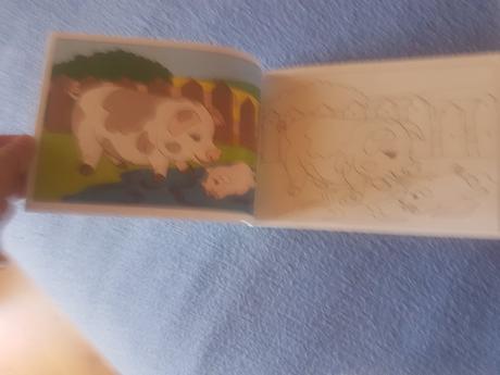 Omalovánka/vymalovánka, 