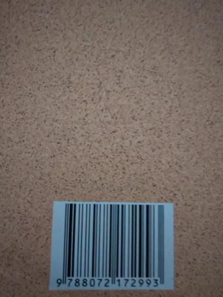 Majáda, dcéra iraku, život 1 ženy za vlády s.husaj, 