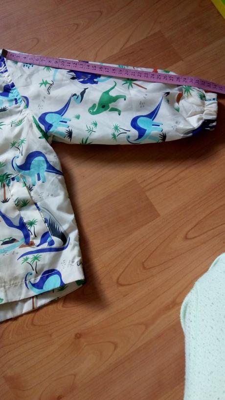 Bundička dinosaurus, 98