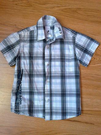 Kosela 2x oblecena, palomino,104