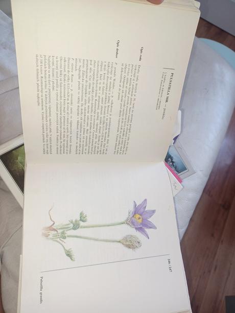 3x kniha,ruze,skalický,tsunami,