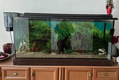 Predám akvárium,