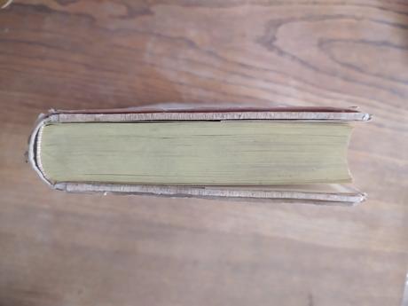 Kniha matky - slovanské poézie lidové, 